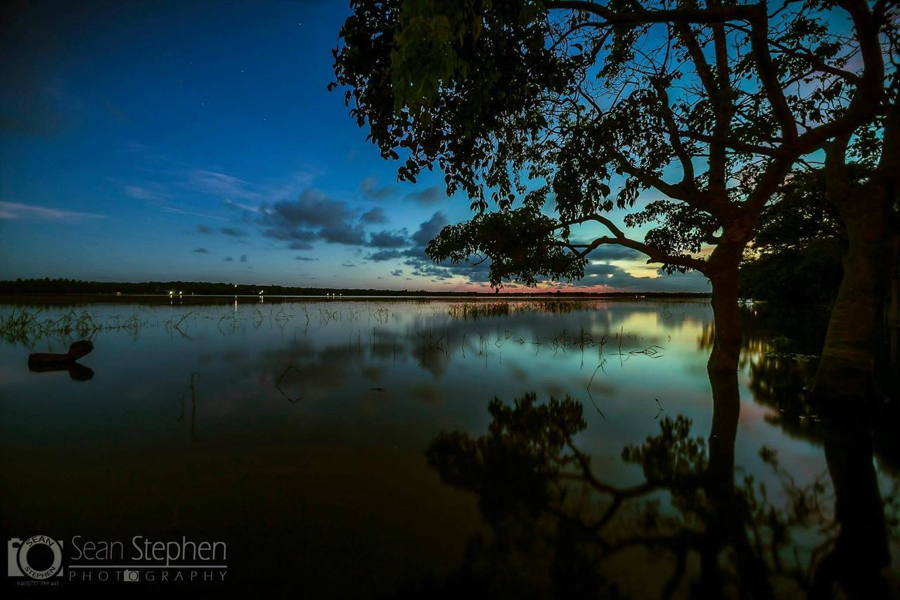 Готель The Yala Adventure Тіссамахарама Екстер'єр фото