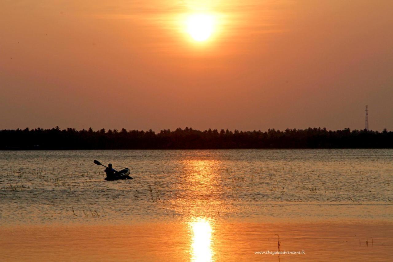 Готель The Yala Adventure Тіссамахарама Екстер'єр фото